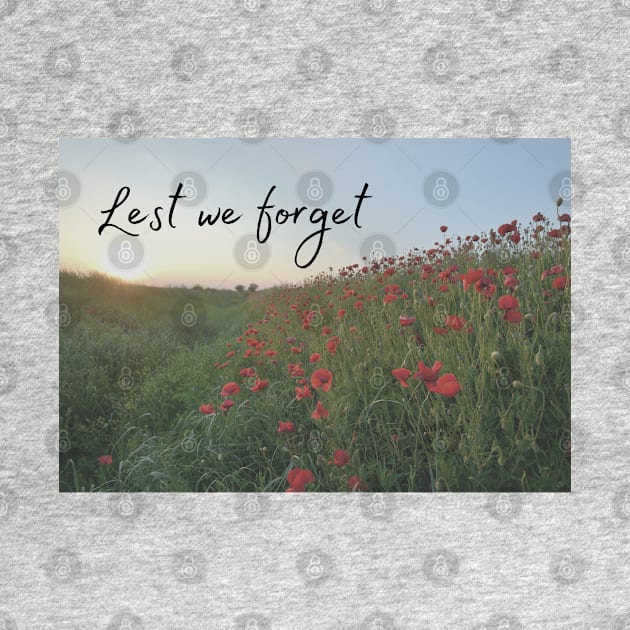 Lest We Forget Poppies by Felicity-K